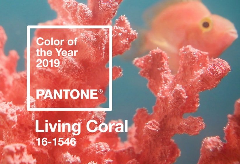 Tranquila, mas vibrante: A variação de coral e salmão é a cor escolhida pela Pantone para 2019.