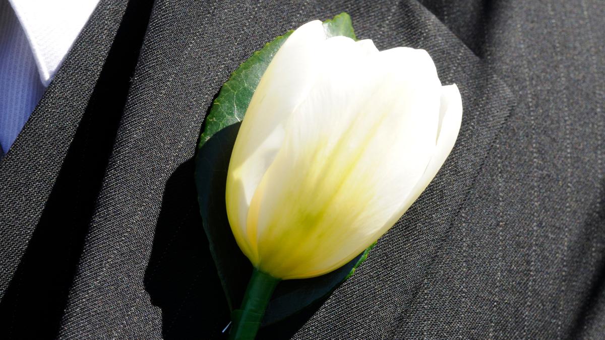 Flores de lapela: tulipa