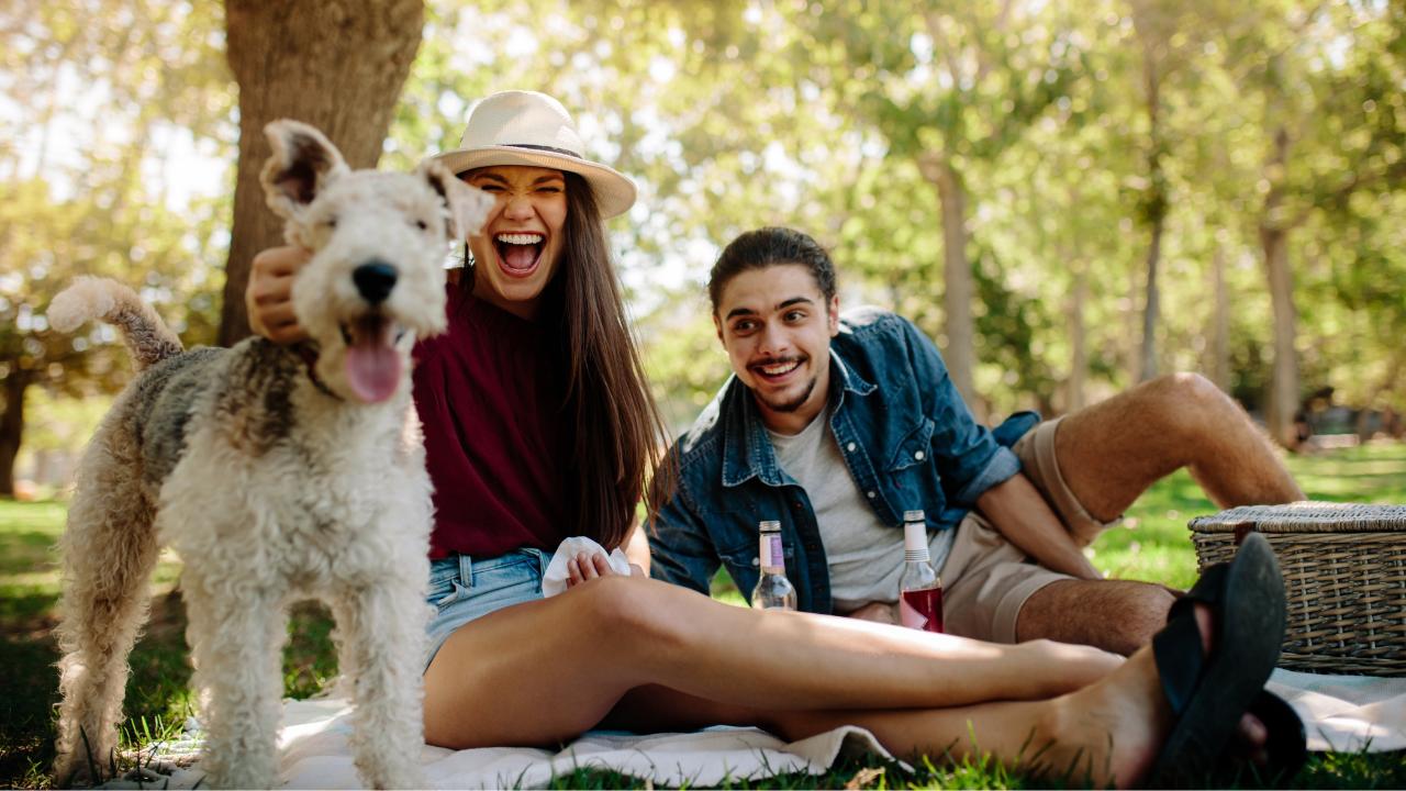 Casal sentado em grama de parque, em piquenique, com o cachorrinho de estimação, para ensaio pré-wedding.