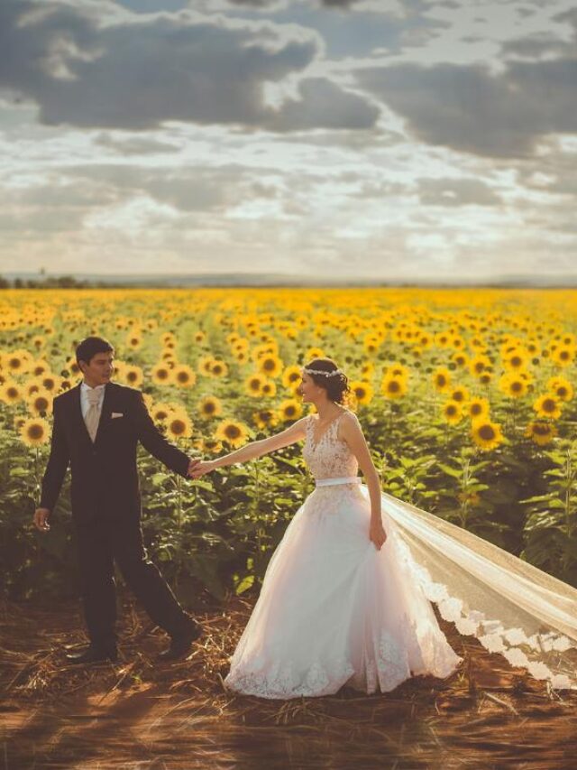 Casal no meio de campo de girassois