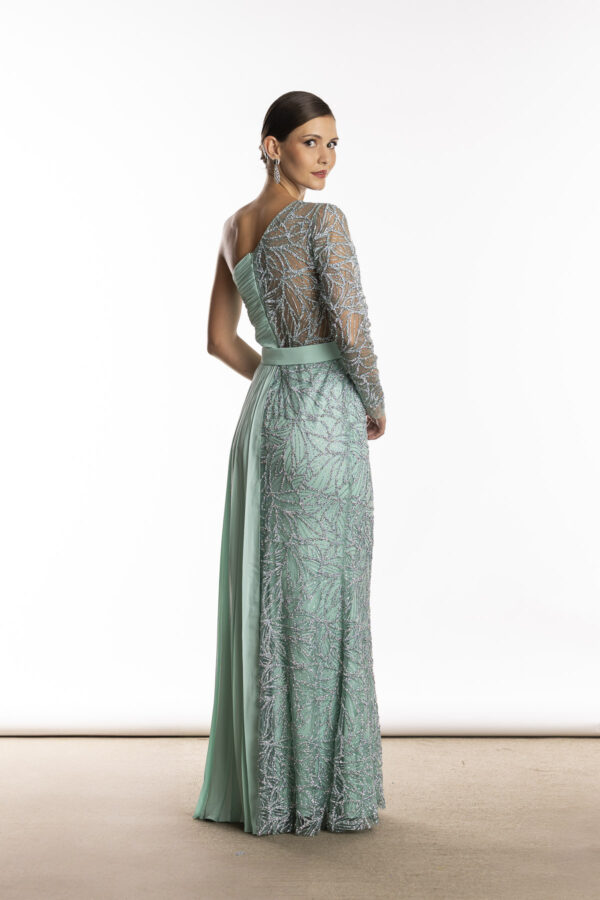Costas do vestido de festa bordado de uma manga só